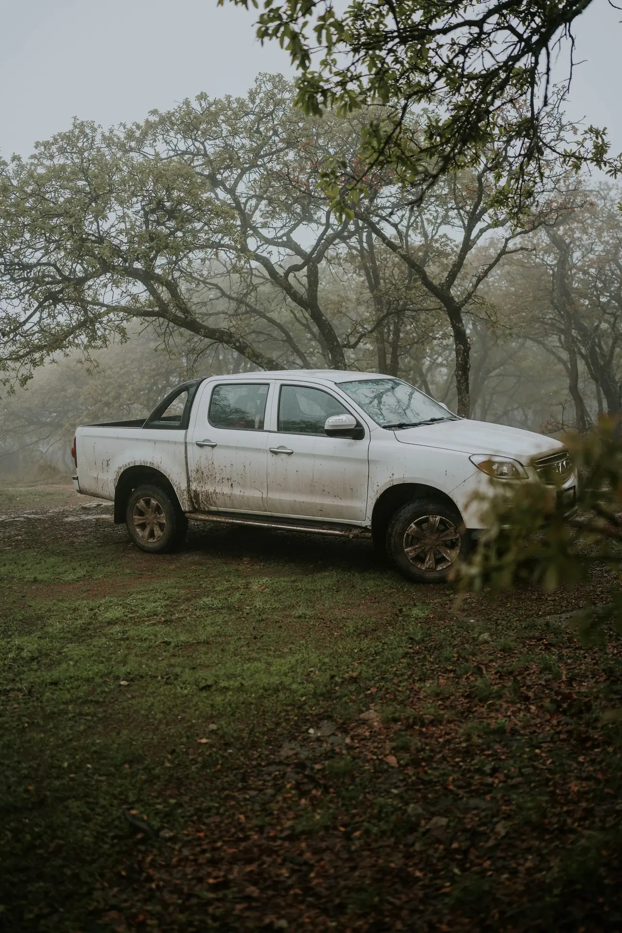 A white double cab pickup parked on grass in misty woodland, its lower doors and sills flecked with dried mud.